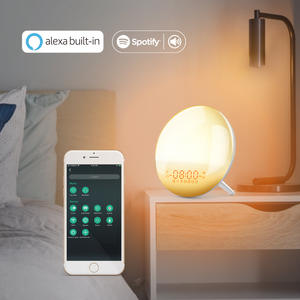 Logo personnalisé simulation lever du soleil coucher de soleil réveil atmosphère colorée veilleuse <span class=keywords><strong>radio</strong></span> réveil traitement OEM - Product Image 3