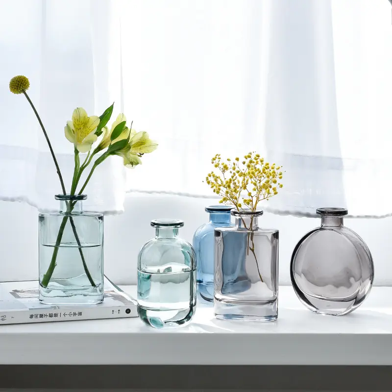 Nordic fresco idroponica di vetro piccola bottiglia di vetro di fiori secchi vaso trasparente