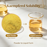 Approvisionnement direct usine : Kaempférol 50% HPLC, extrait naturel de plante en poudre, qualité cosmétique et alimentaire, échantillon gratuit, certificat d'analyse (COA) disponible