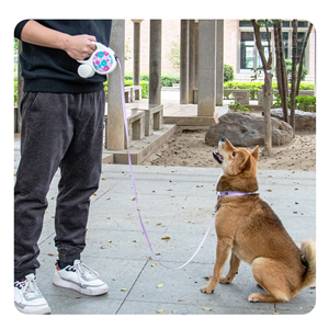 Correa retráctil ecológica y verde personalizada para mascotas, correa ajustable para perro, correa retráctil para perro con logotipo impreso colorido - Product Image 6