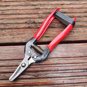 Ciseaux d'élagage Tokunosuke, manche en plastique rouge, tête incurvée, outil d'élagage en acier inoxydable pour raisin, tomate, fleur, 5-10 mm - Product Image 5