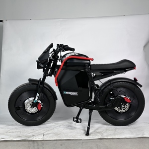 Motocicleta Eléctrica Todoterreno con Motor de 1000W, Neumáticos Anchos, Bicicleta Eléctrica de Cross, Bicicleta Eléctrica Todoterreno - Product Image 2