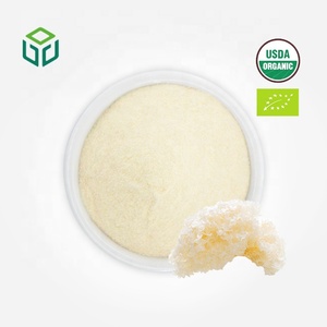 Bubuk Jamur Salju (Ekstrak Tremella Fuciformis) Bersertifikat Organik Berkualitas Tinggi untuk Makanan, Bubuk Ultra Halus dalam Botol - Product Image 1