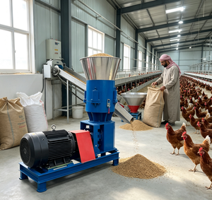Máquina Compacta para Producción de Pienso en Pellets para Aves de Corral y Ganado, 200-400 kg/h, <span class=keywords><strong>Jordan</strong></span>, con Manual de Operación en Video y 1 Año de Garantía - Product Image 1