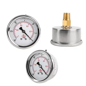 HUBEN SS 30 PSI Pressure Gauge With Center Back Mount