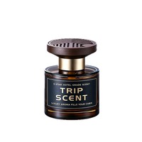Diffuseur de parfum d'ambiance de luxe personnalisé pour la maison, ensemble de diffuseurs à bâtonnets en verre, huile essentielle, désodorisant d'air - Parfum longue durée, coffret cadeau