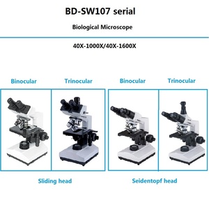 Jumelles optiques biologiques BD-SW107 XSZ107 – Prix compétitif pour laboratoires biologiques et enseignement scolaire - Product Image 3