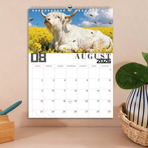 2026 cao nguyên Bò Lịch tùy chỉnh xoắn ốc lịch nghệ thuật giấy 300gsm lớn in tường kế hoạch lịch cho Tracker, lập kế hoạch - Product Image 4