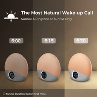 HiFiD HFD-W23 Réveil avec machine à bruit blanc, simulateur d'aube et de coucher de soleil, entraîneur de sommeil