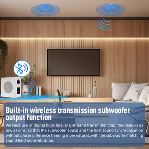Altavoz de Techo Activo Inalámbrico Coaxial Bidireccional de 6.5 Pulgadas con Micrófonos Inalámbricos, Altavoz de Pared para Sistemas de Cine en Casa - Product Image 1