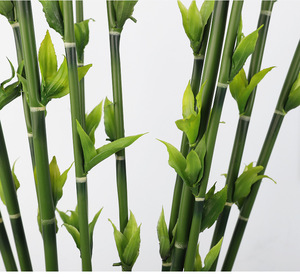 Plante artificielle populaire en <span class=keywords><strong>bambou</strong></span>, <span class=keywords><strong>tige</strong></span> unique en plastique, vert et violet, pour la décoration de la maison, du couloir et des mariages - Product Image 4