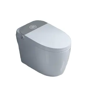 Samiyah 2024 vente en gros de luxe moderne salle de bain sanitaire une pièce cuvette de toilette intelligente toilette intelligente pour le ménage