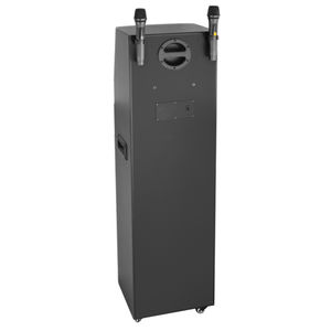 Machine <span class=keywords><strong>de</strong></span> karaoké multifonctionnelle tout-<span class=keywords><strong>en</strong></span>-un avec système Android 12, double haut-parleur <span class=keywords><strong>de</strong></span> 12 pouces, 300 W <span class=keywords><strong>de</strong></span> puissance, 32 Go, WiFi extérieur, kiosque, enceinte <span class=keywords><strong>de</strong></span> <span class=keywords><strong>scène</strong></span> - Product Image 4