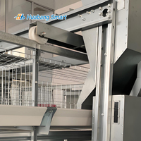 Cages automatiques pour poules pondeuses de ferme avicole, cages en batterie de type H pour poulets de chair, prix des cages pour système d'alimentation des poulets