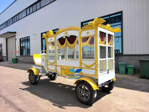 Nouveau 2026 – Cercueil funéraire électrique personnalisable de style européen moderne, type char funéraire à chevaux - Product Image 3