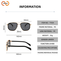 Lunettes de soleil TWOOO T1934 personnalisées avec logo OEM ODM pour hommes, monture double pont en PC, verres PC UV400, couleurs fidèles, vente en gros directe usine
