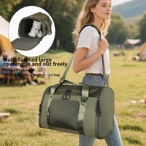 Sac de transport pour animaux de compagnie, voyage en plein air, quotidien, personnalisé, respirant, en nylon, fermeture éclair, fenêtre, approuvé par les compagnies aériennes, pliable, pour chien et chat - Product Image 1