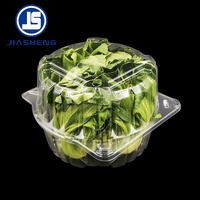 Contenants en plastique transparent jetables pour l'emballage des légumes