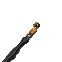 Module de caméra endoscopique personnalisé 3,6 mm 1MP Micro USB OV9734 Capteur d'imagerie médicale pour l'endoscopie