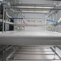 Bande transporteuse agricole en PVC pour fumier de volaille – Convoyeur de fumier de poulet