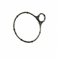 Joint de pompe à vide LR039593 pour moteur Land Rover 2.0L, jeu de joints de culasse pour véhicules L550 L359 L538 L494204PT CNAB