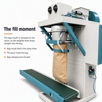 Machine d'emballage de sacs de 25 kg et 50 kg, machine de pesage semi-automatique, équipement de pesage, corps en acier inoxydable
