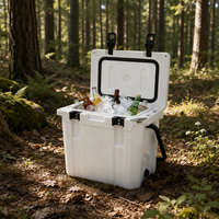 Mini glacière pour pique-nique, boîte isotherme, service OEM