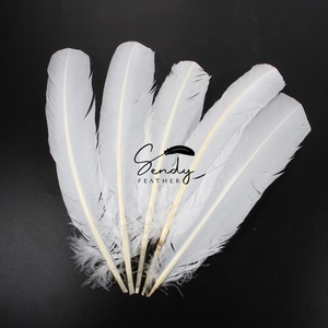 Vendita a buon mercato 12-14 "/30-35cm bianco tacchino tonda piuma piuma per carnevale copricapo zaino Costume - Product Image 2