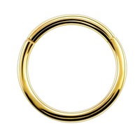 Anneau de nez à charnière en acier chirurgical 16g et 14g, anneau de mamelon Clicker oreille Cartilage Tragus Helix lèvres Piercing bijoux unisexe nouveau 316