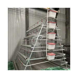 Poultry Farming Equipment Automated Chicken Layer Cage