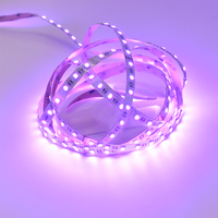 Bande LED RVB pleine couleur SMD 5050/3528, adressable RVBW, 14W/m, bande lumineuse intelligente, prise en charge de la télécommande