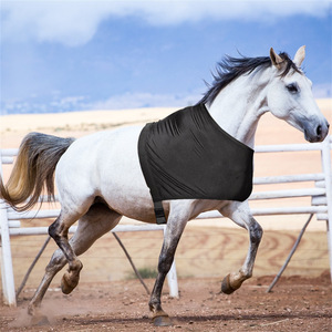 Chaleco protector para hombros y cuello de caballo, almohadillas de alta elasticidad, forro cómodo y resistente a los arañazos para caballos Sml - Product Image 4