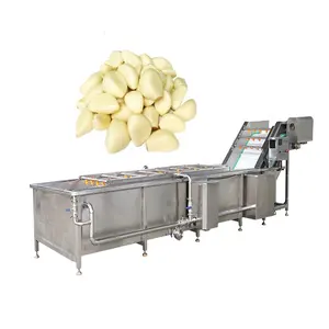 Citrus Washing Machine For Coconut Garlic Washer Berry Collection Equipment