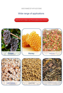 Presse-agrumes automatique hydraulique robuste et <span class=keywords><strong>extracteur</strong></span> de gingembre de manioc-pour usine de transformation de fruits - Product Image 3
