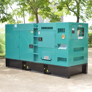 Hochwertiger schallgedämpfter 250 kva elektrischer stromerzeuger-set 250 kva schalldichter 200 kw diesel-generator