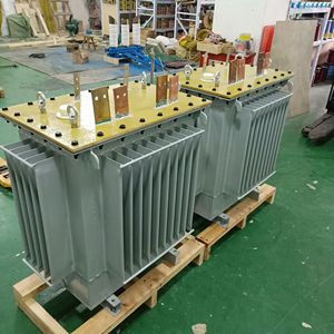 Transformador de Potencia Sumergido en Aceite |   Transformador de Distribución y Potencia de 11kV-500kV con Certificación CE - Product Image 5