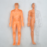 Juguete STEM, Modelo de Cuerpo Humano Transparente para Niños, Anatomía Humana, Modelo de Cuerpo Humano