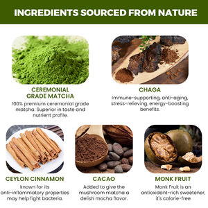 Matcha en Polvo de Grado Ceremonial con Champiñón Chaga, <span class=keywords><strong>Cacao</strong></span> Peruano y Canela de Ceilán, Marca Privada OEM - Product Image 4