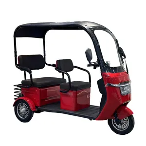 Wholesale E Trike Integrated Roof Available Cargo Passenger 3 Seaters Dual Use Pedicab Rickshaw