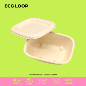 Nhà Máy Bán buôn dùng một lần bã mía tự nhiên phân hủy sinh học thực phẩm liên hệ với an toàn bao bì hộp bột giấy - Product Image 2