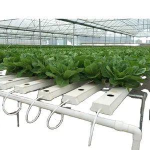Hot Sale NFT Hydroponic Growing Systems Serres Agricoles for Lettuce Cherry Leaf Vegetable