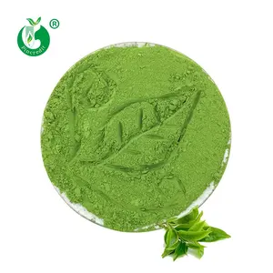 Pincredit Wholesale Matcha Price Mocha Green Tea Powder