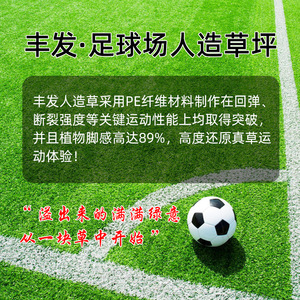 Césped Artificial para Cancha de Fútbol, Fibra de PE Resistente al Desgaste, Campo Deportivo para Uso en Exteriores - Product Image 1