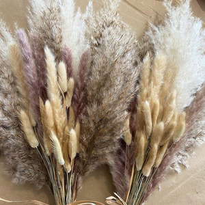 2026 Vente en gros à prix compétitif : Fournitures pour arrangements floraux naturels séchés, pour la création de bouquets artisanaux DIY pour mariages et Noël - Product Image 5