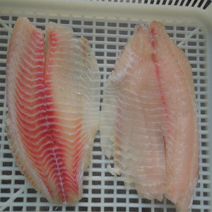 Buena calidad de fresco pescado congelado de filete de Tilapia proveedor - Product Image 4