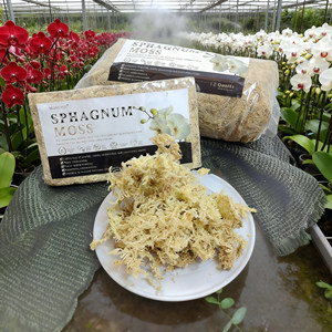 MUSCHIO Cina - Programma di Riferimento per Clienti che Raccomandano il Muschio Sfagno per Giardini e Uso Esterno - Product Image 1
