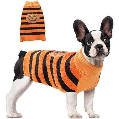 ฟักทองลายทาง