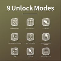 Serrure Intelligente pour Porte en Verre : Reconnaissance Faciale, Code, Empreinte Palmiste, Clé Serrure à empreinte digitale