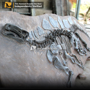 Muro fósil de dinosaurio Artificial de tamaño natural de alta calidad My Dino para equipo de <span class=keywords><strong>parque</strong></span> temático - Product Image 6
