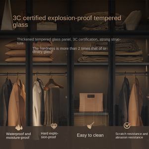 ตู้เสื้อผ้าในห้องนอนปรับแผงไม้หรูหราทันสมัยพร้อมประตูกระจกสำหรับการจัดเก็บในห้องนั่งเล่น - Product Image 4